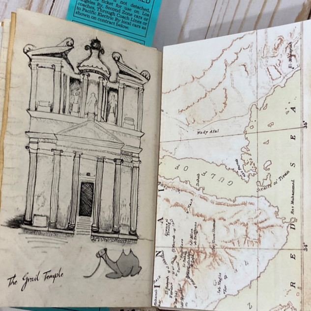 Petra Page
