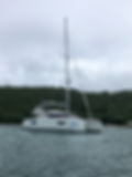 8CCE6746-7DCE-4942-97C9-741E017AAFA8_1_1