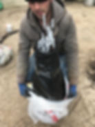 dikime hazır fidanlar