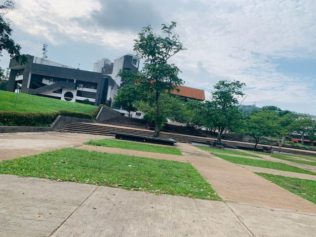 motion ground