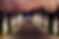 IMG_2887.jpeg