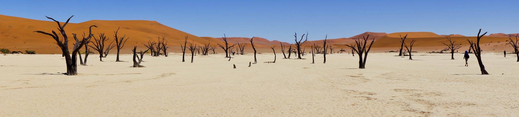Deadvlei