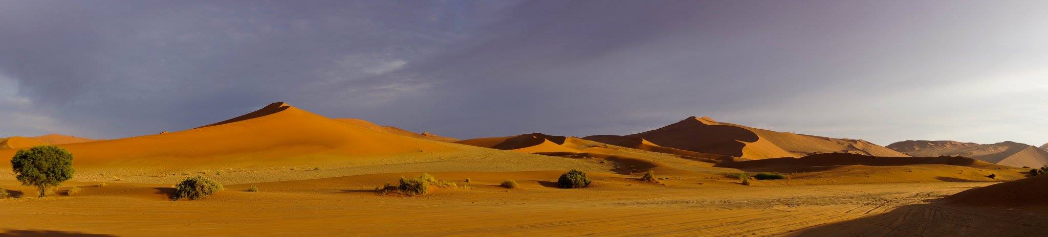 Sossusvlei Dunes