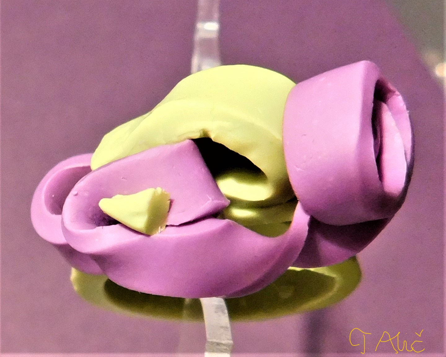 Product 1698_1332_22 (Ring)