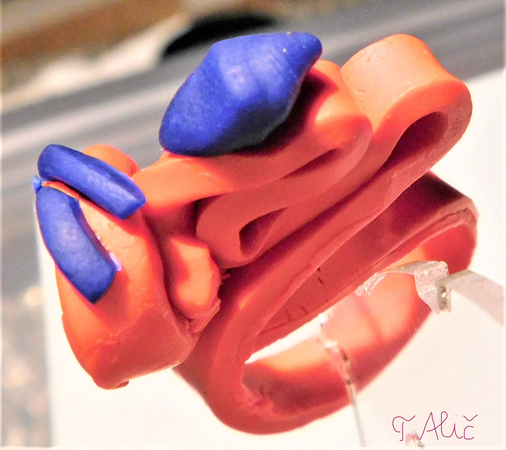 Product 1707_1341_22 (Ring)