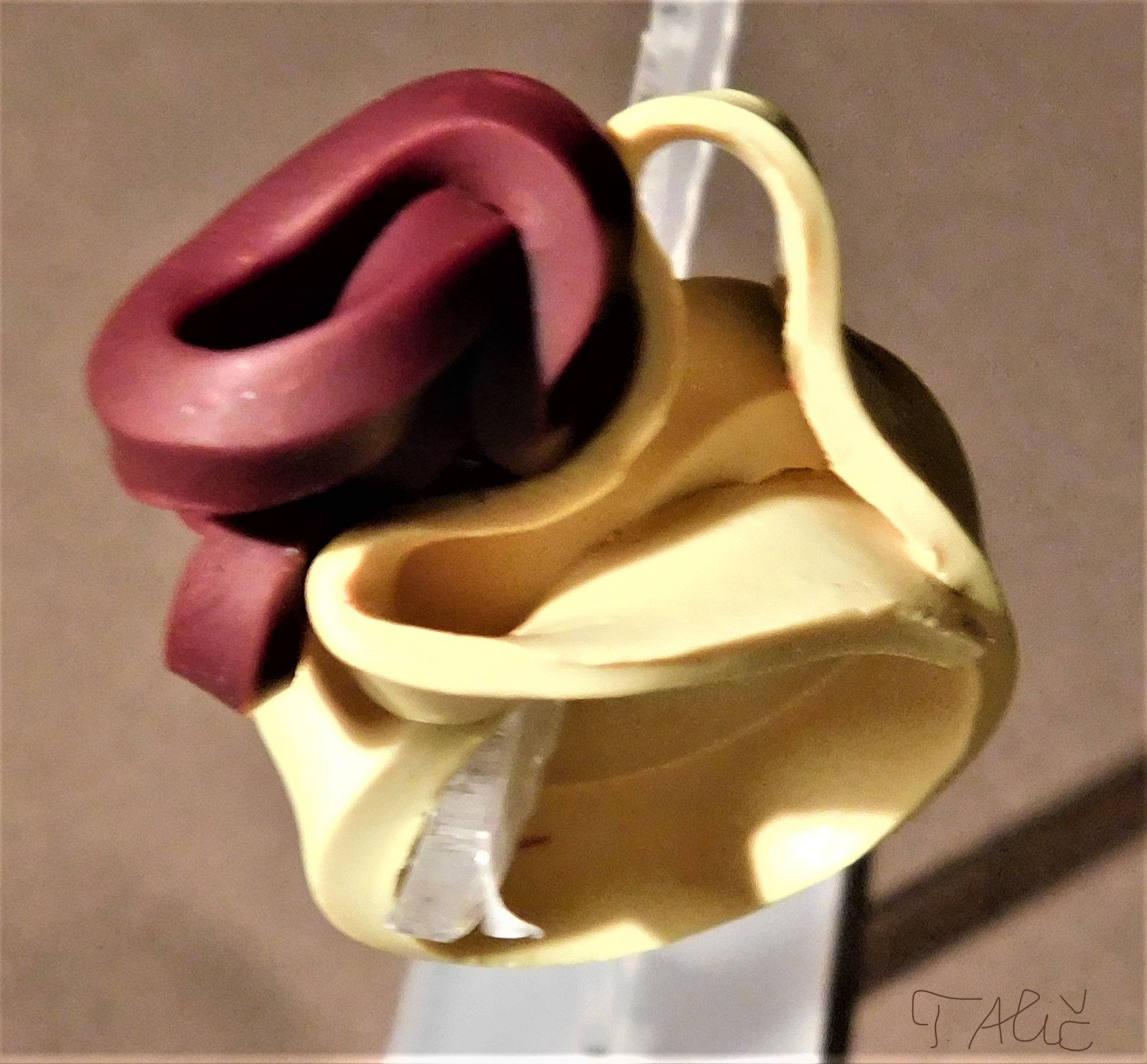 Product 1226_860_21 (Ring)