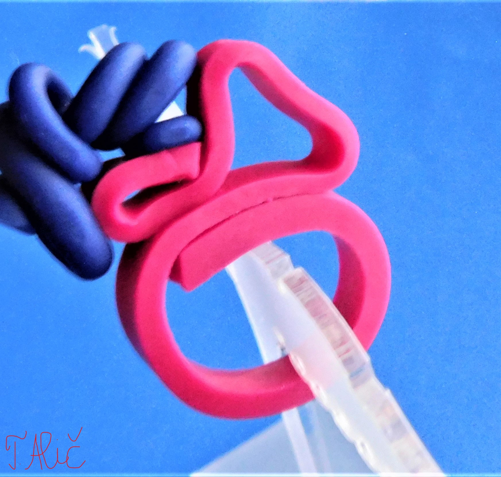 Product 1244_878_21 (Ring)
