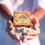 Thumbnail: PROBIOTIC SHAMPOO BARS - Indo Naturals | zero-waste | microbe cosmetic tech