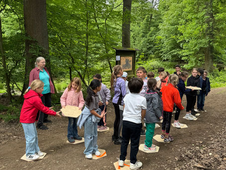 Bericht über die Waldjugendspiele 2026 in Bad Breisig