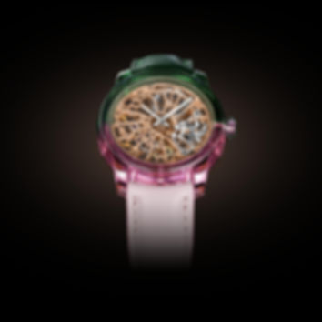 Spark NanoSaphir Bicolor