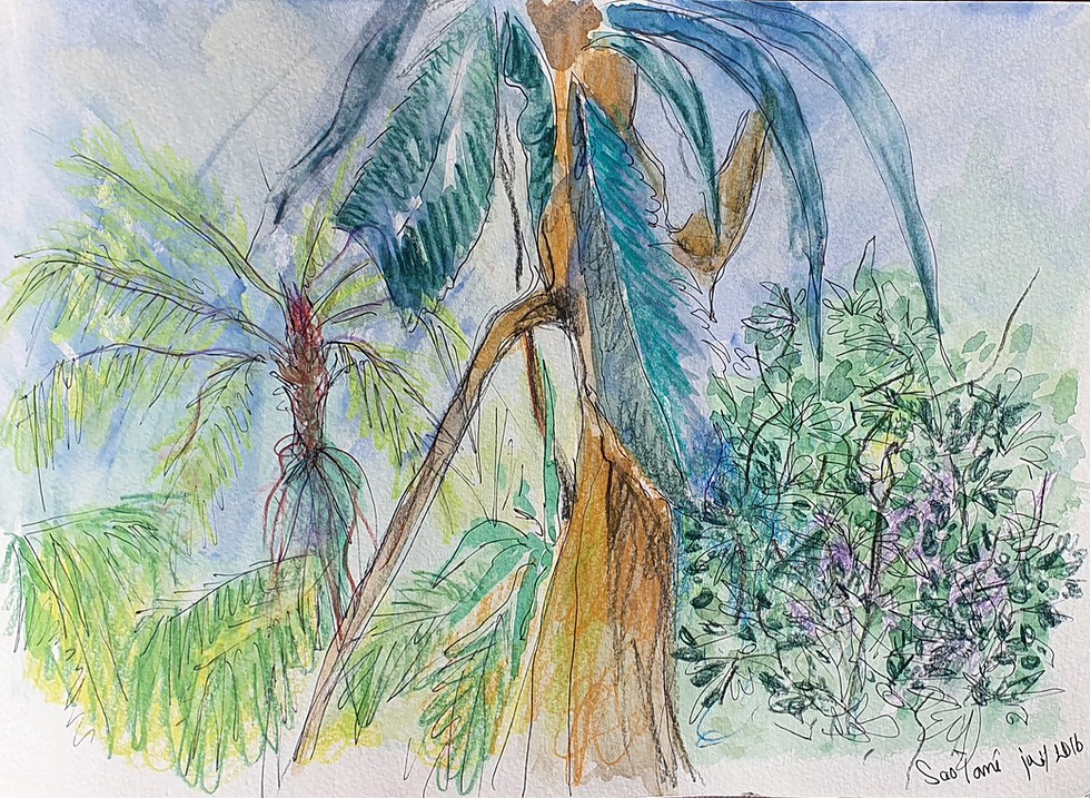 aquarelle sao tome 3_edited