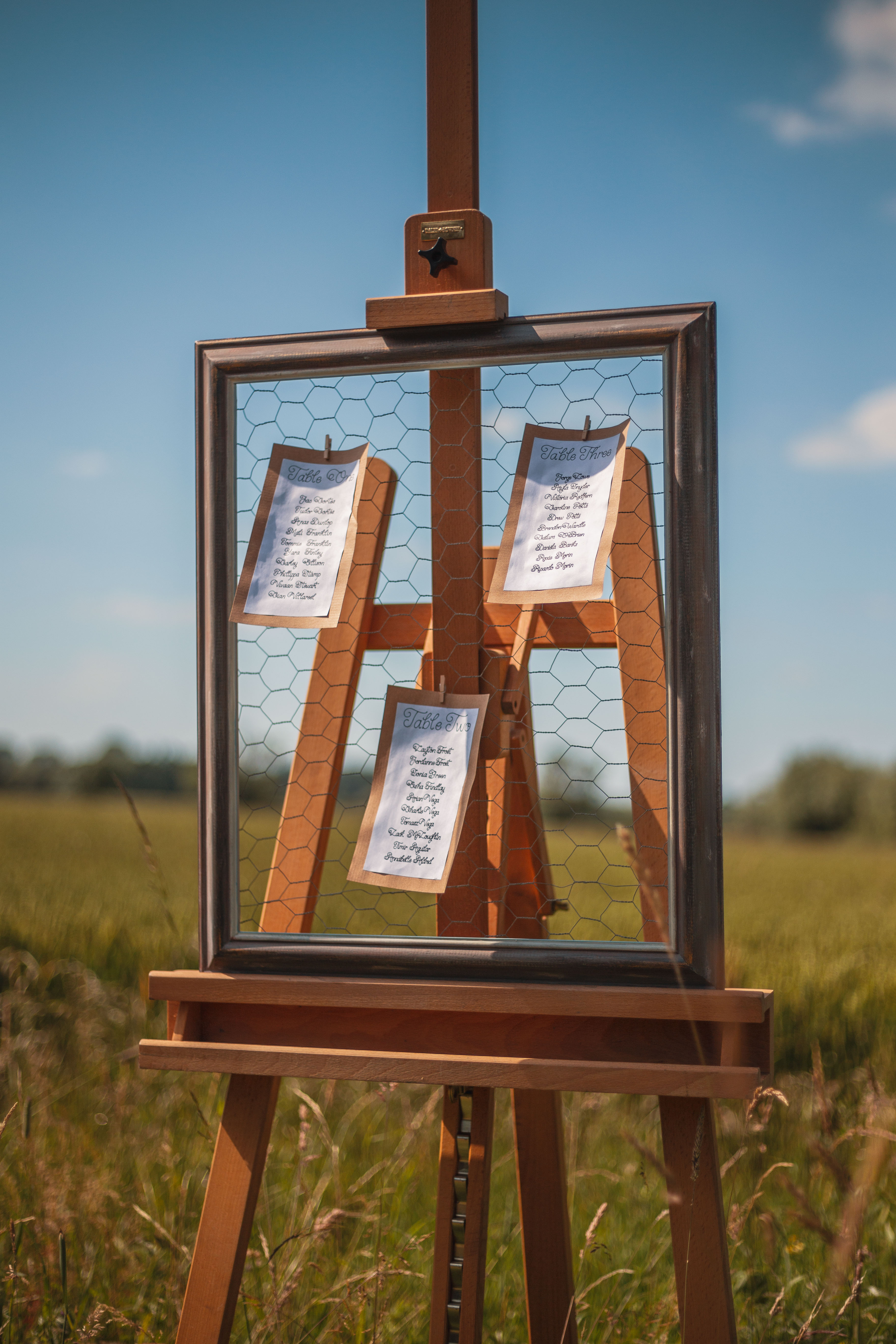 Grey Chicken Wire Frame