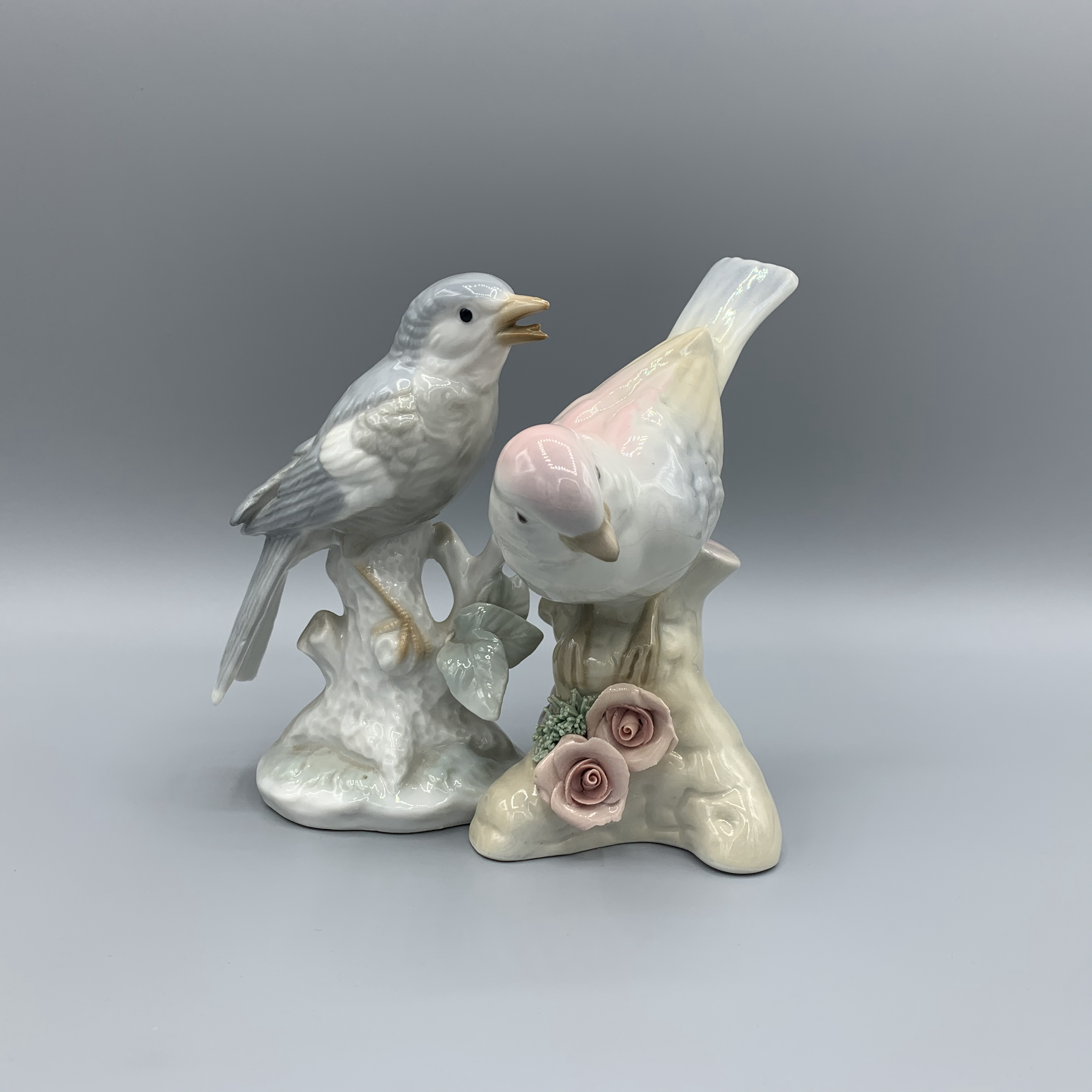 Lovebirds