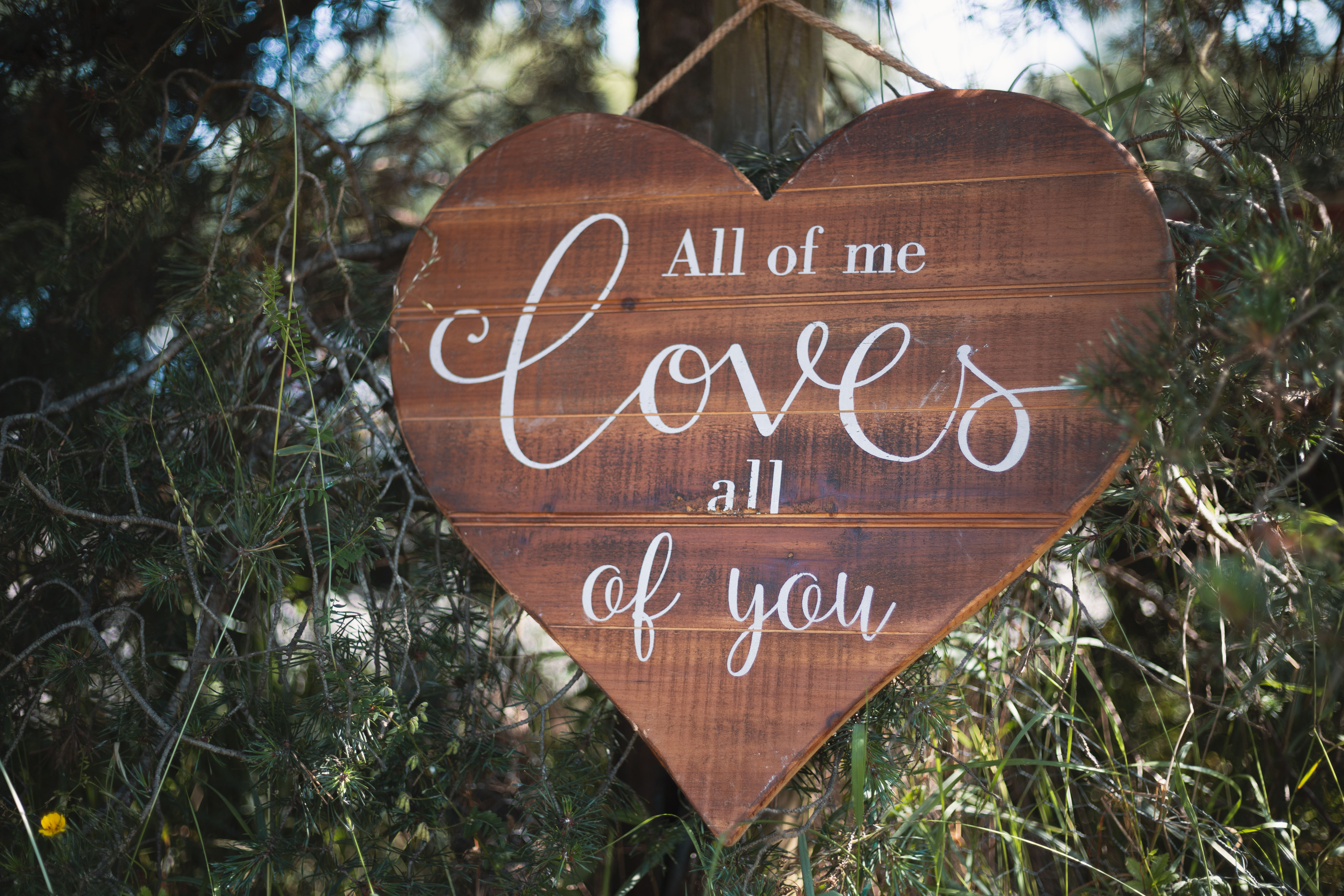 "All of Me Loves all of You"