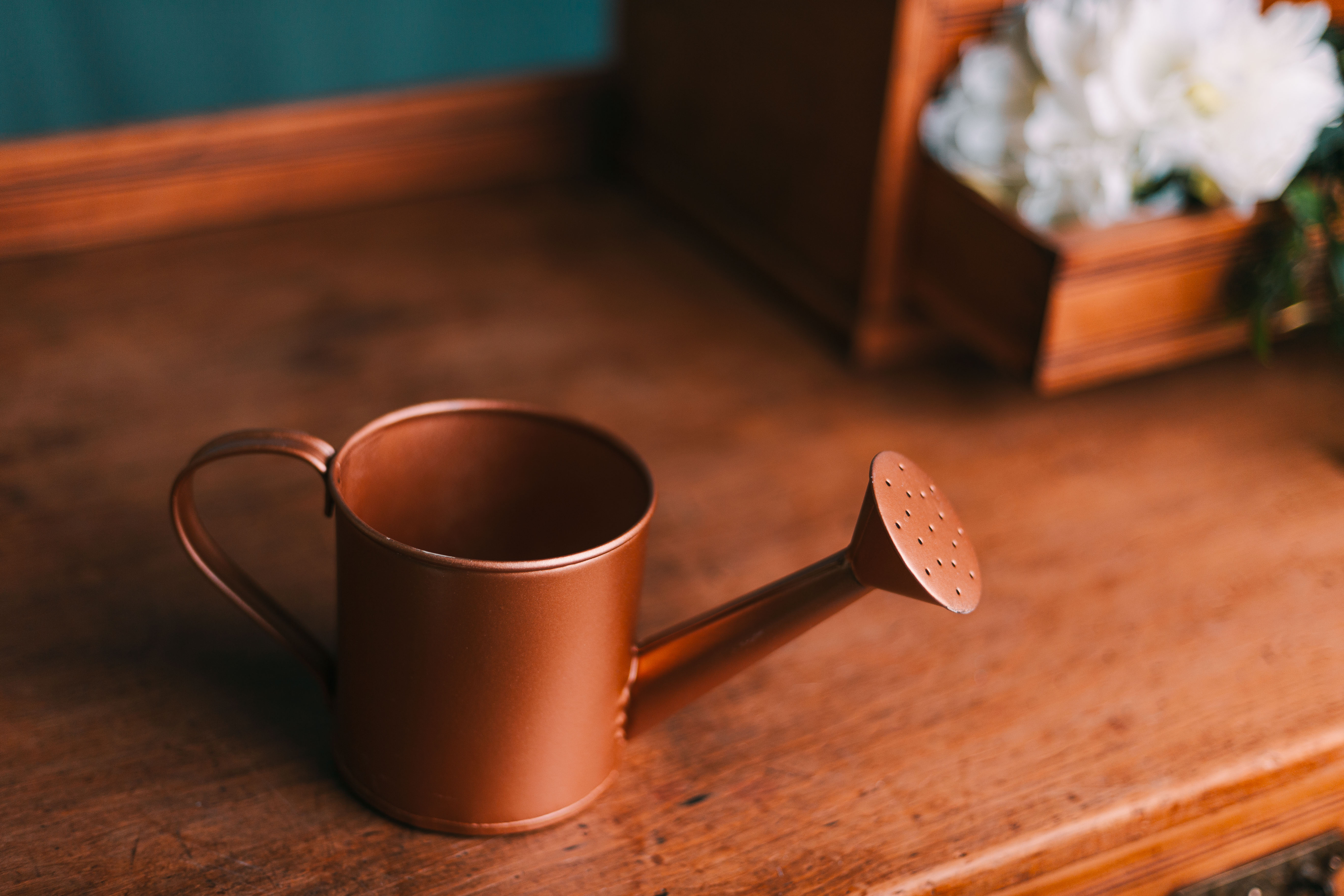Small Copper Watering Can