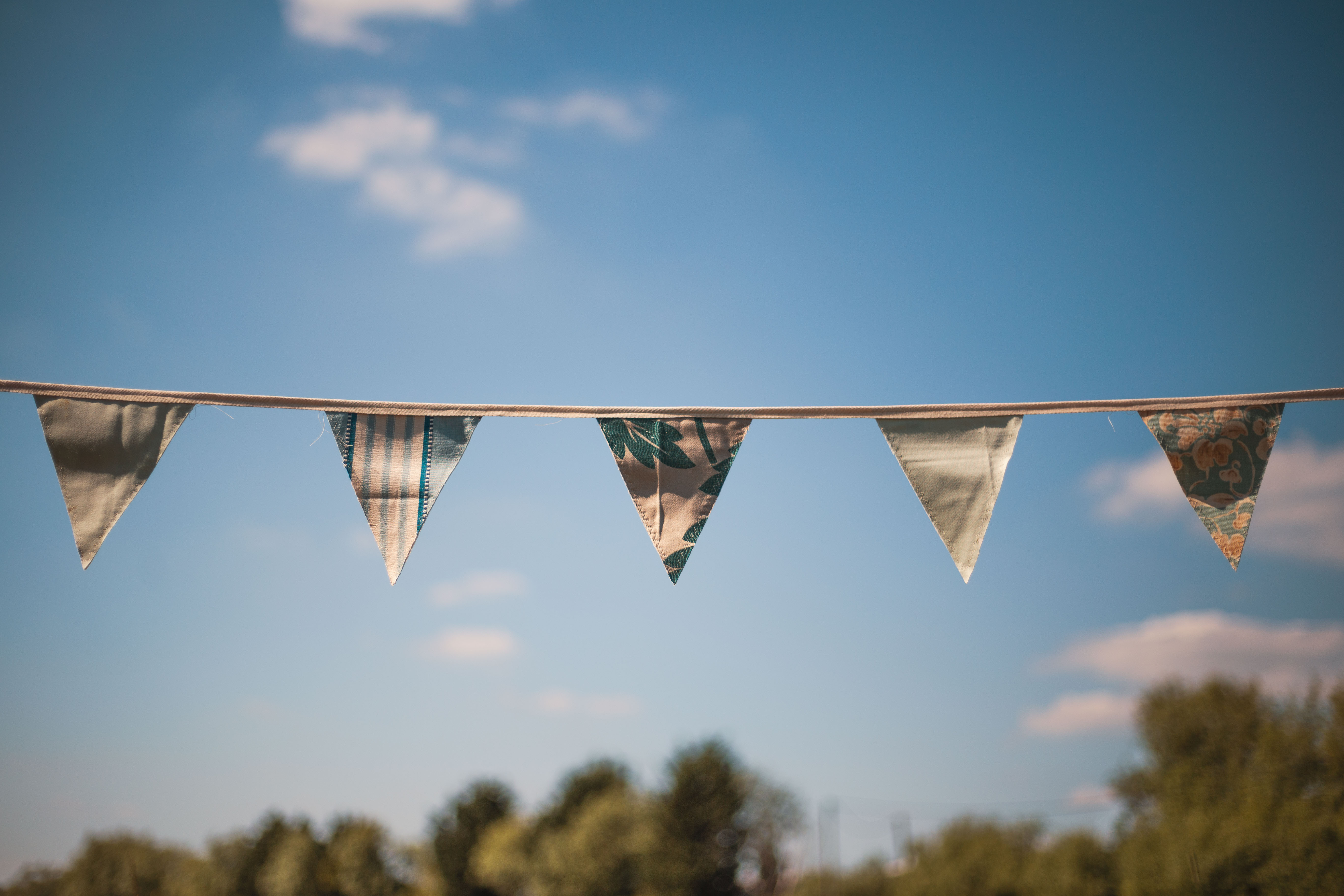 Reversible Blue / Yellow Bunting