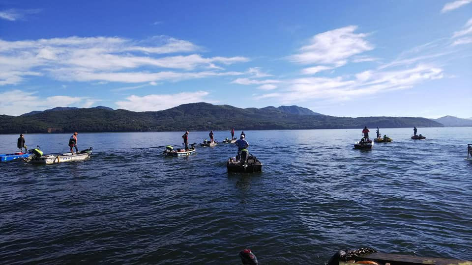 40160648_1075993309217261_51235878116345