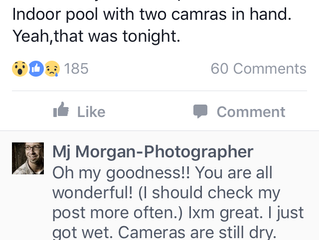 Photographer steps backward into a swimming pool.