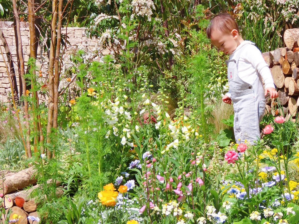 Fukuoka Flower Show 2026 会場の様子 福岡市植物園
