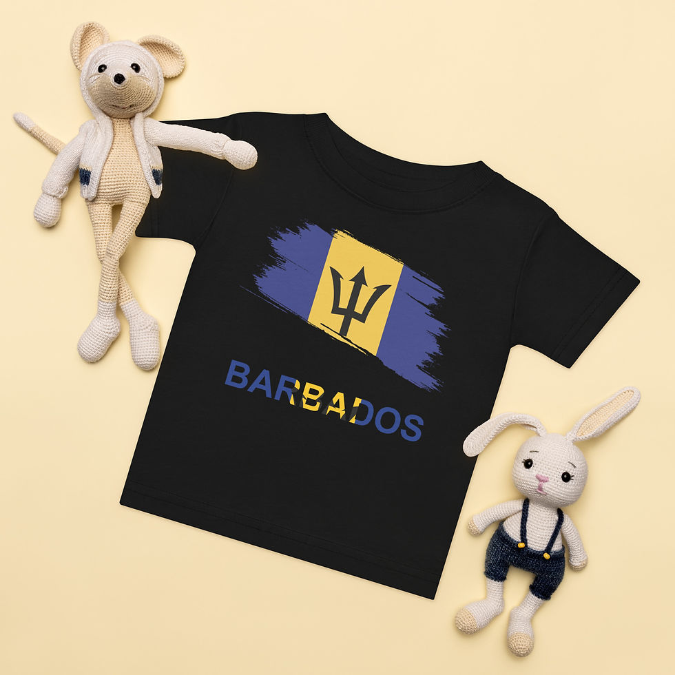 Baby Barbados Flag Brush Graphic jersey t-shirt