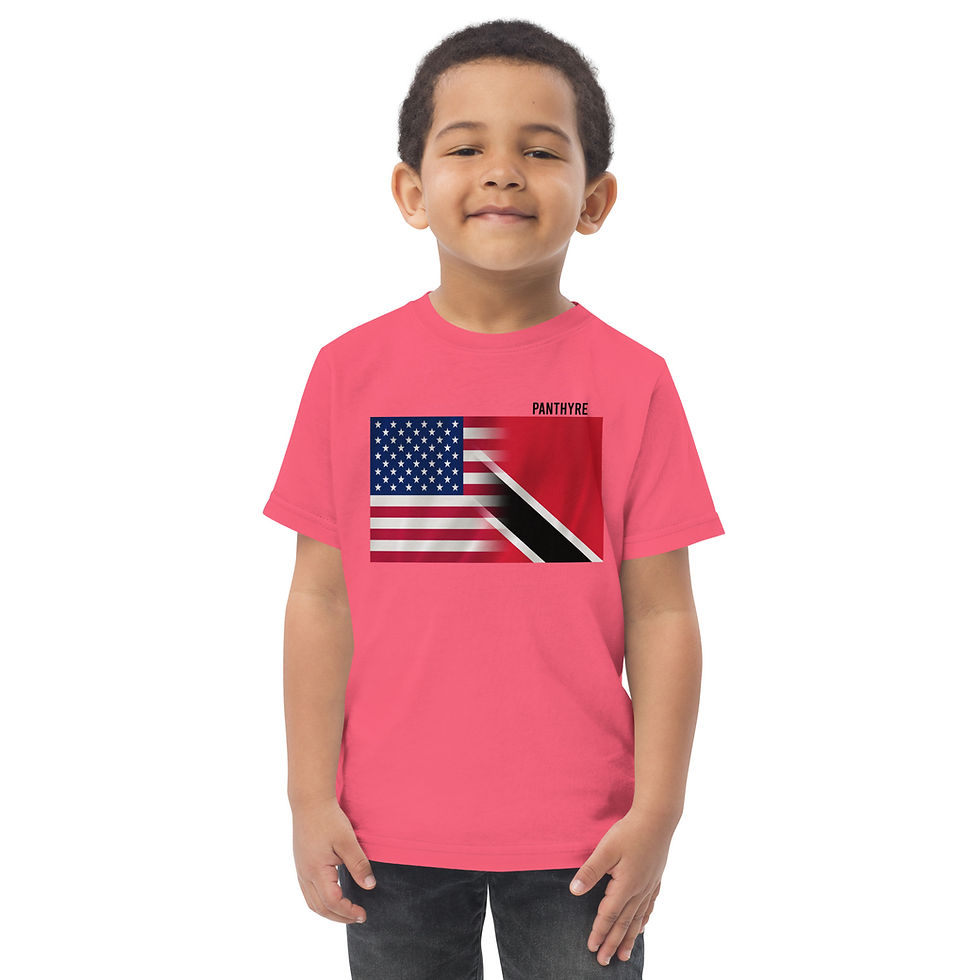 Thumbnail: Toddler Blended Flag T-shirt