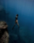 Freediver.jpg