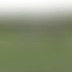 Nuestras escuelas deportivas en la Localidad de Suba en Bogotá: un compromiso avalado por el IDRD