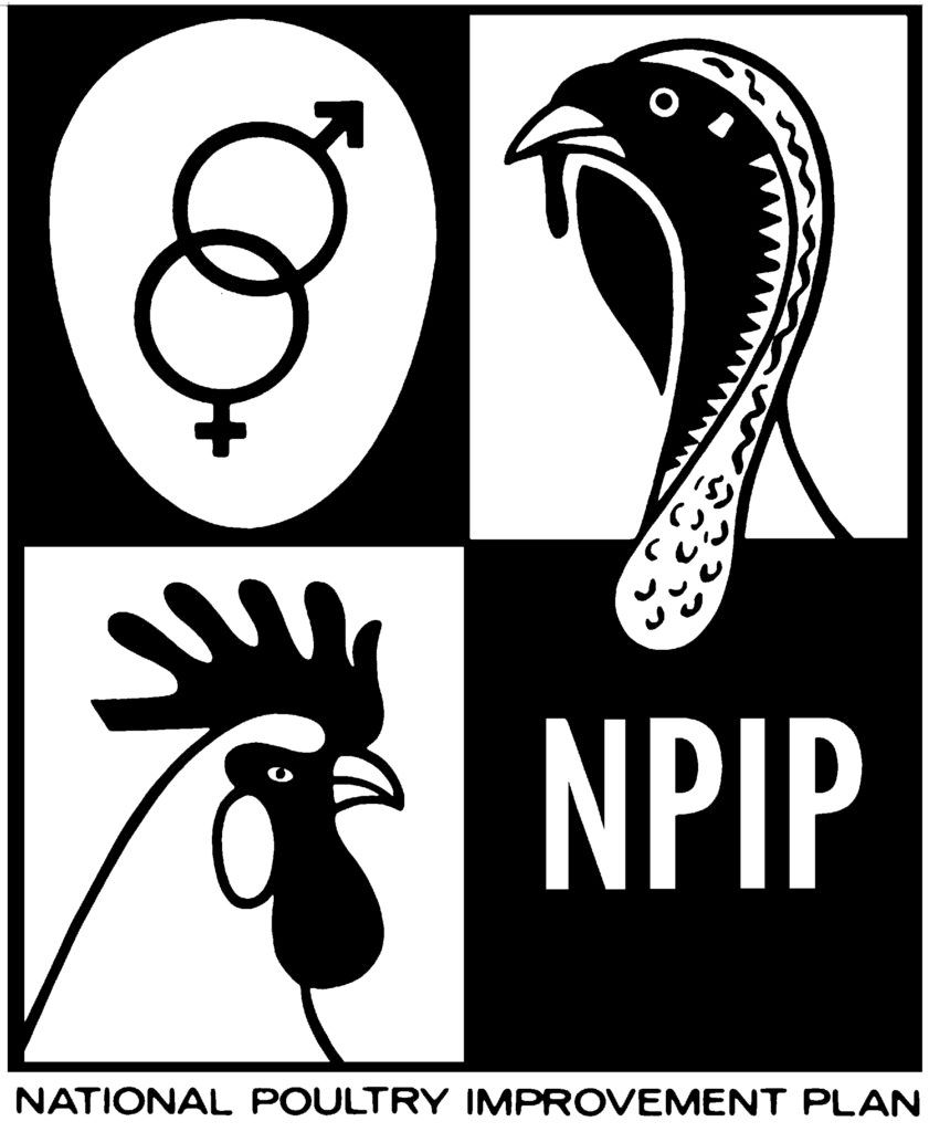 npip.jpg