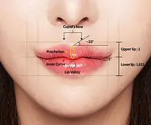 lip-augmentation-rj-clinic.webp