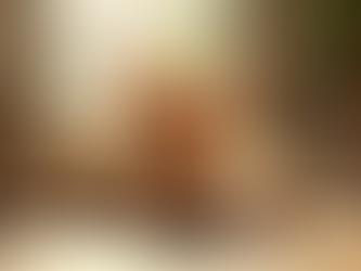 Join the Scorch Community: Embrace Orange Cat Energy