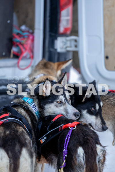 Femundløpet_2026-3878