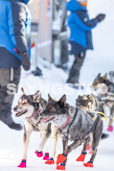 Femundløpet_2026-9772