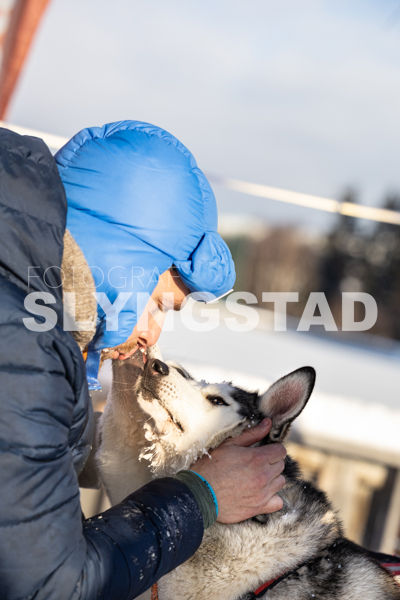 Femundløpet_2026-0329