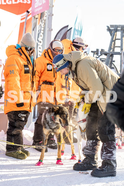 Femundløpet_2026-9809