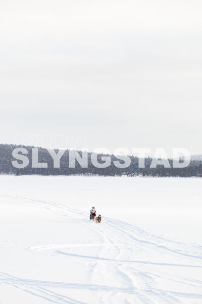 Femundløpet_2026-7704