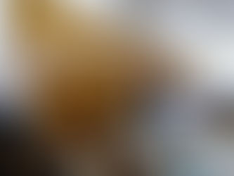 Égypte: La juge, Radwa Helmi Ahmed, première femme à siéger au Conseil d’État