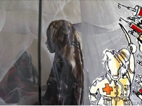 Coronavirus : Le « cobaye africain », les réactions outrées se multiplient..