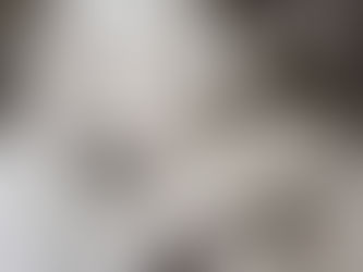 « Voici le malheur numéro 1 de l’Algérie. » Mourad Hammami