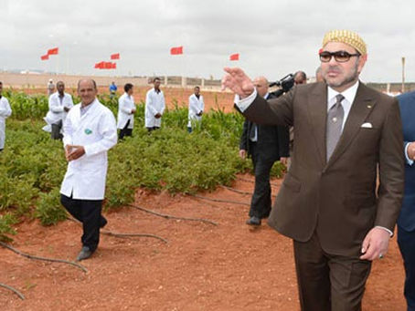 Royaume du Maroc: La stratégie agricole «Génération Green 2020-2030» et de «Forêts du Maroc»