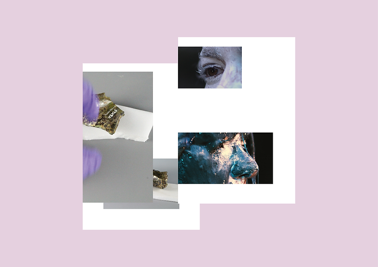 promo_catalogue3.png