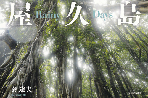 [残り1点のみ]屋久島額装写真 写真集 屋久島 RainyDays | 秦達夫オフィシャルサイト | 東京