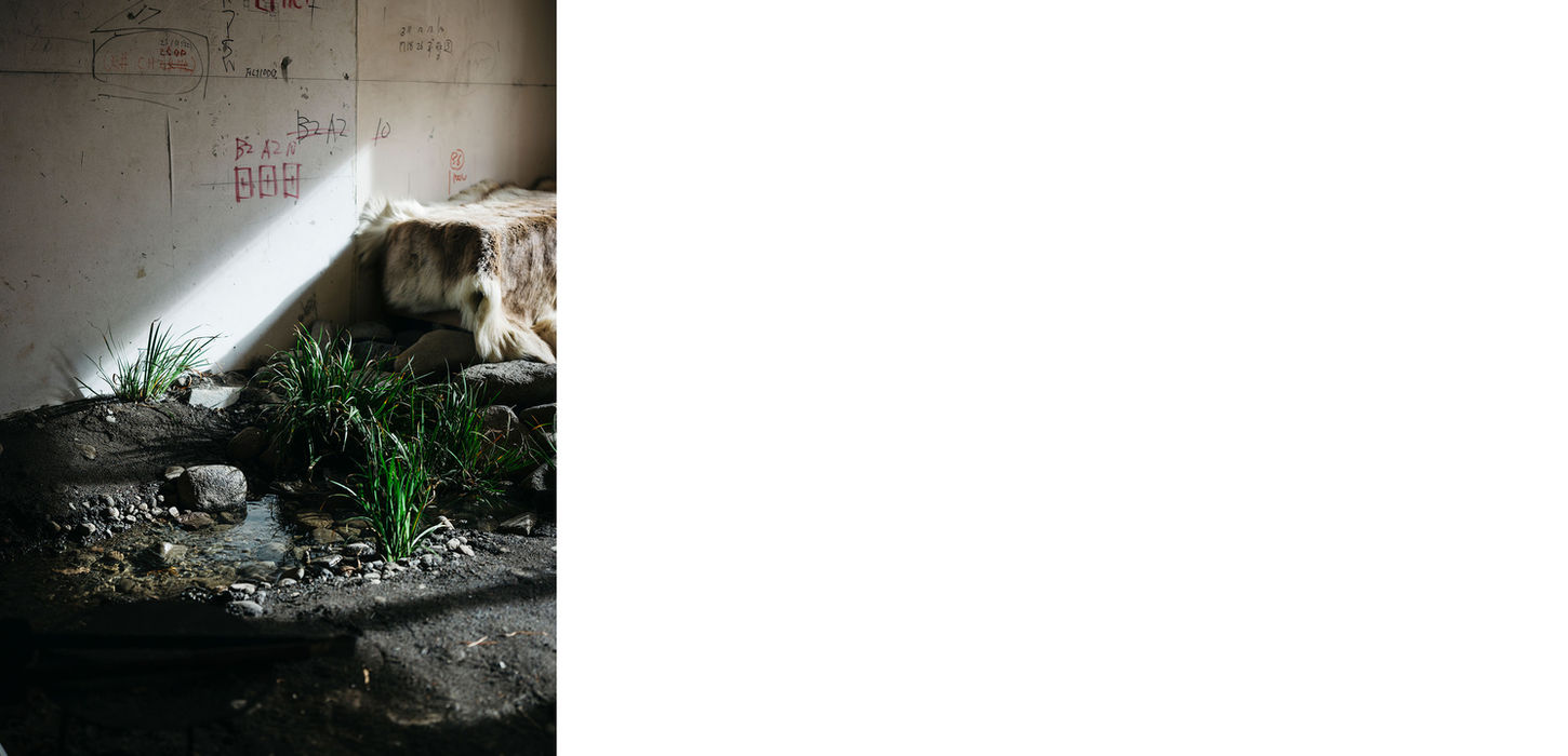 Upi Omotesando Store,TOKYO,otherPROJECTS