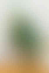 Milk churn of rich blue and pink flowers