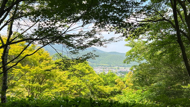 Visit Japan With Open Eyes and an Open Heart