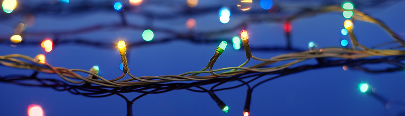 Christmas Lights on Trees