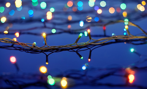 Christmas Lights on Trees
