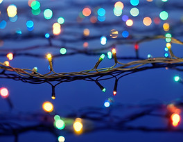 Christmas Lights on Trees