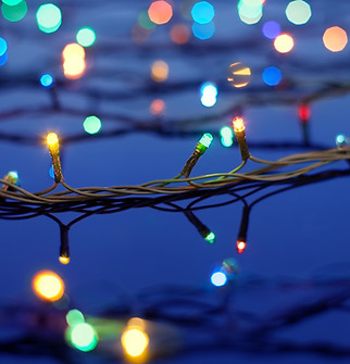 Christmas Lights on Trees