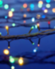 Christmas Lights on Trees