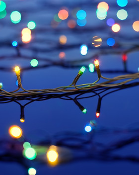 Christmas Lights on Trees